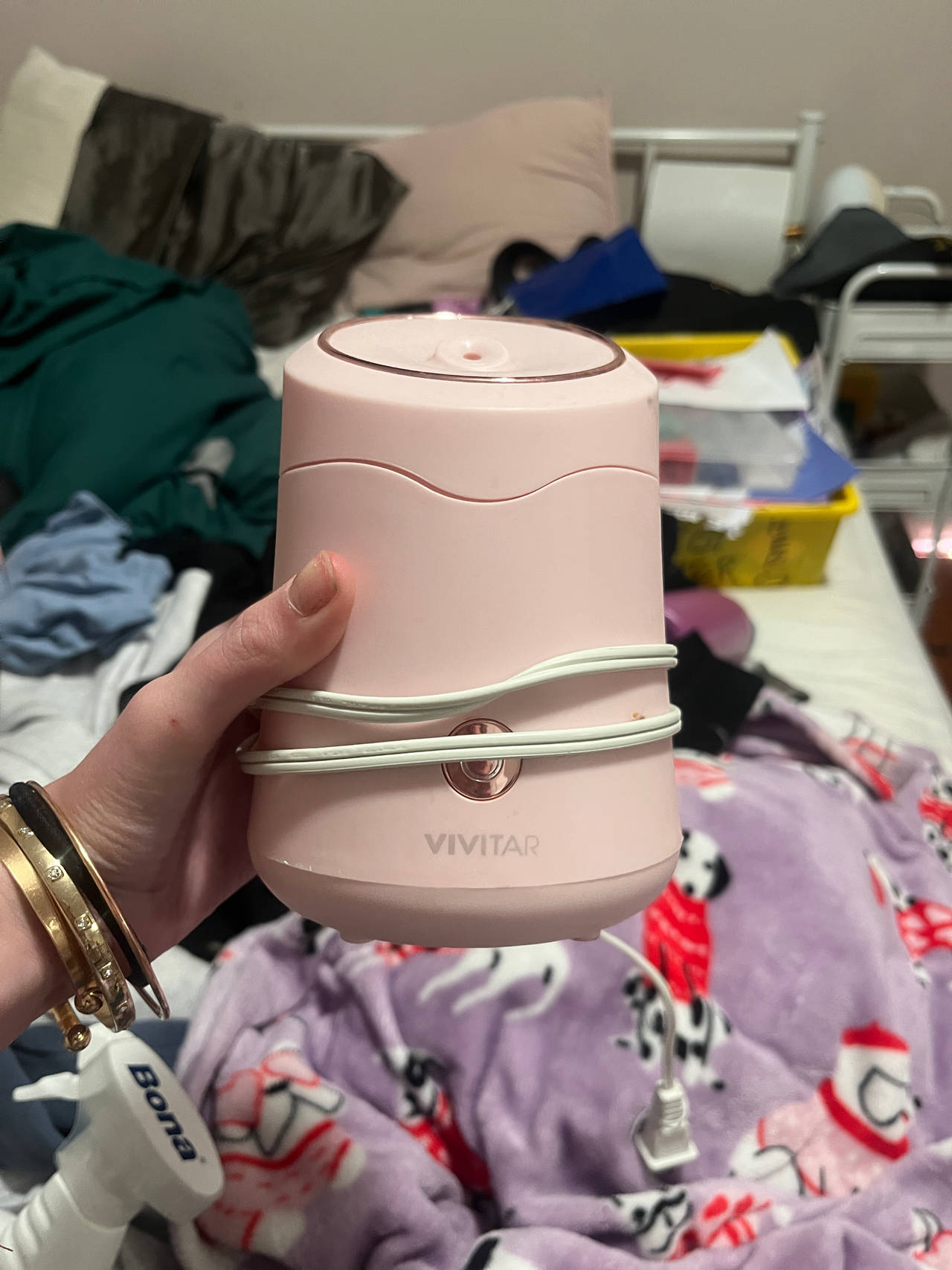 Vivitar Facial Steamer