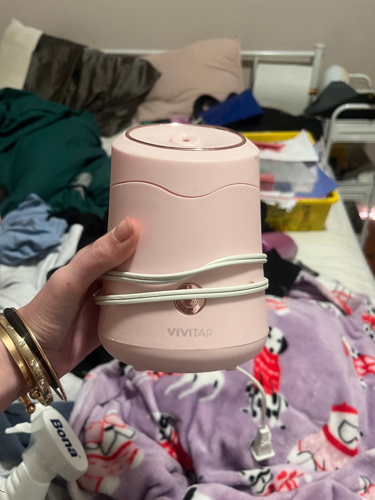 Vivitar Facial Steamer