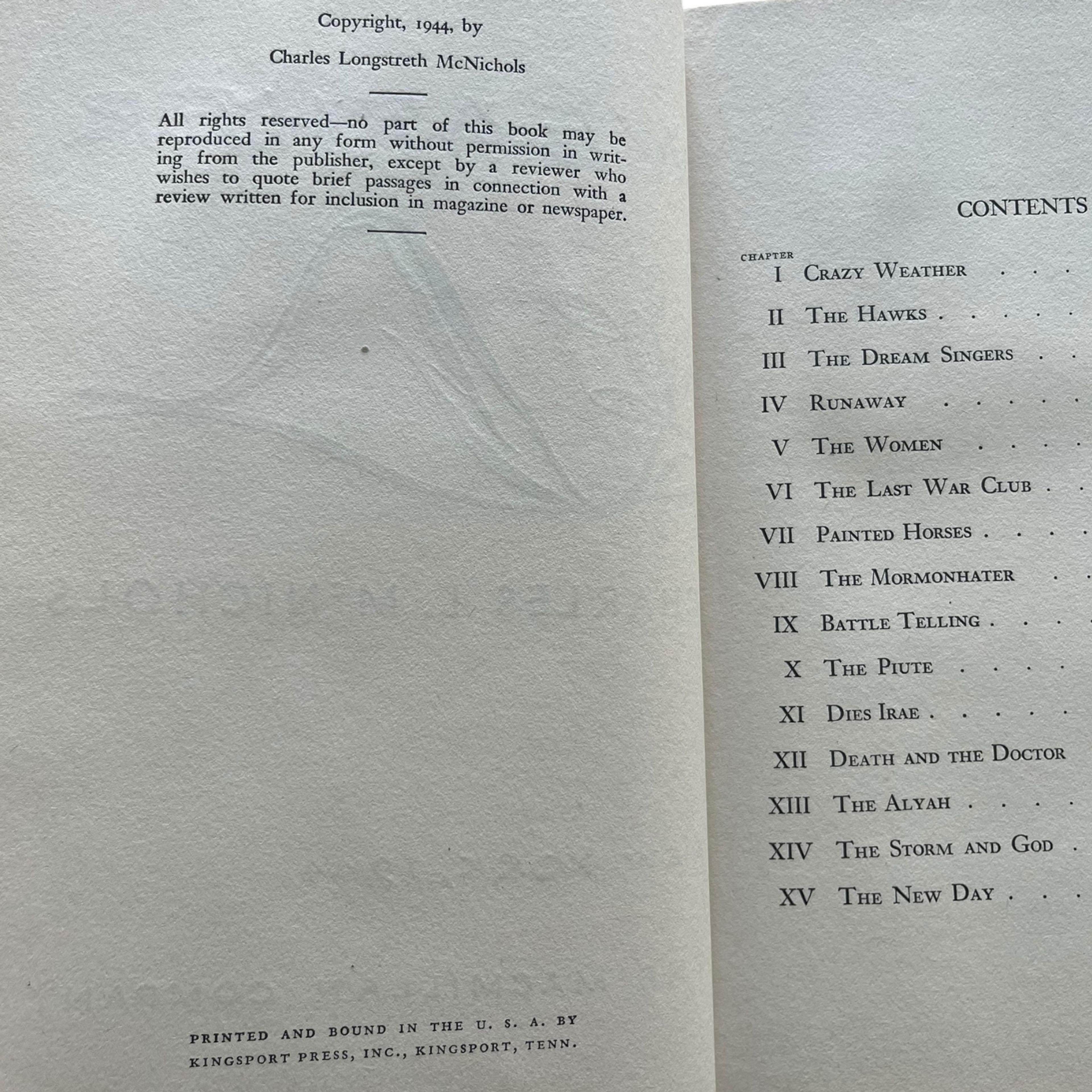 Crazy Weather by Charles L. McNichols - Image 4