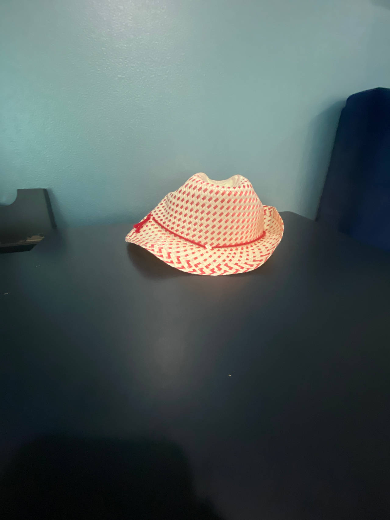 Straw Fedora Hat