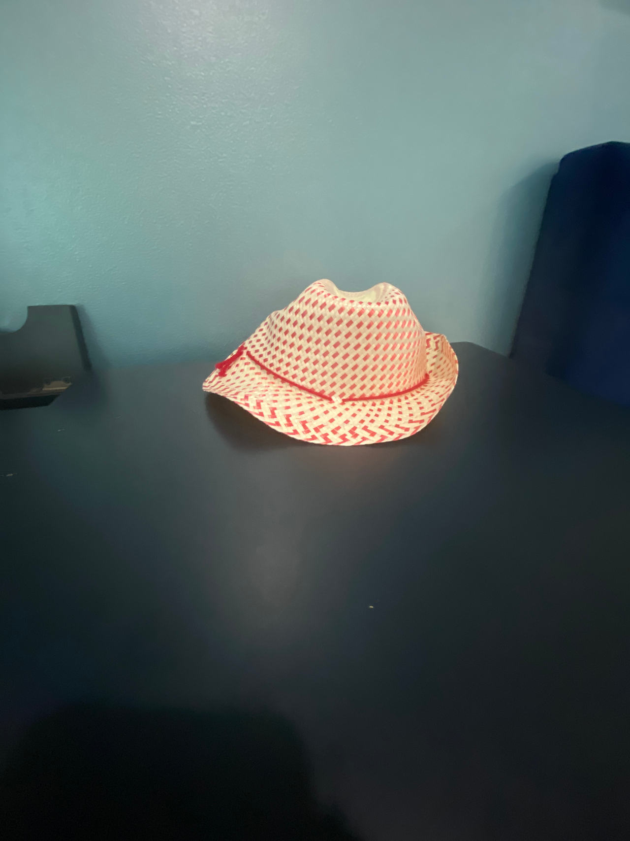 Straw Fedora Hat