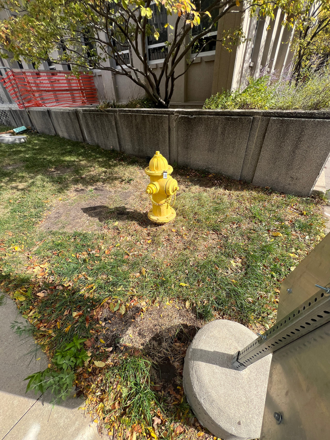 Fire Hydrant