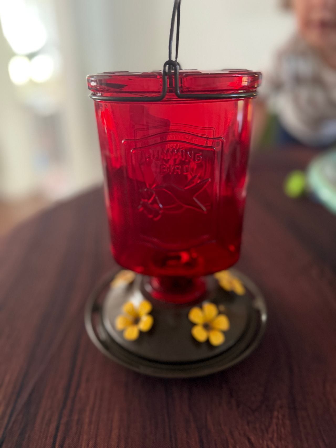 Perky-Pet Red Glass Hummingbird Feeder