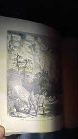 The Boy Emigrants by Noah Brooks - Image 3