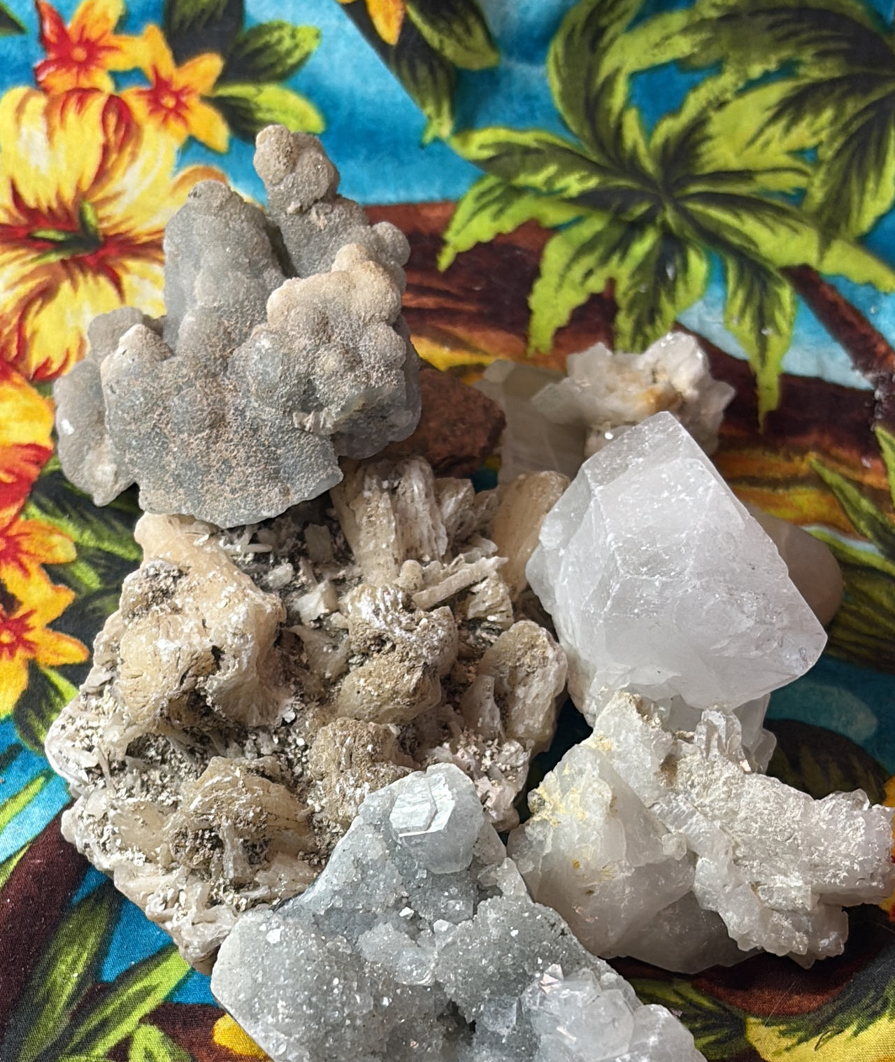 Mixed Raw Crystal and Mineral Specimen Lot(5)