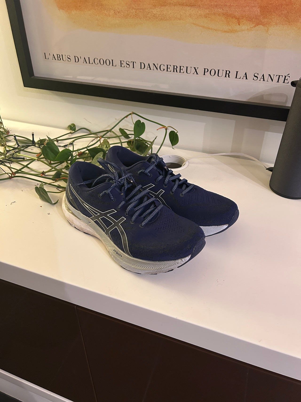 ASICS Gel-Kayano 29