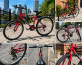 Roadmaster Mt. Fury Mountain Bike - Image 1