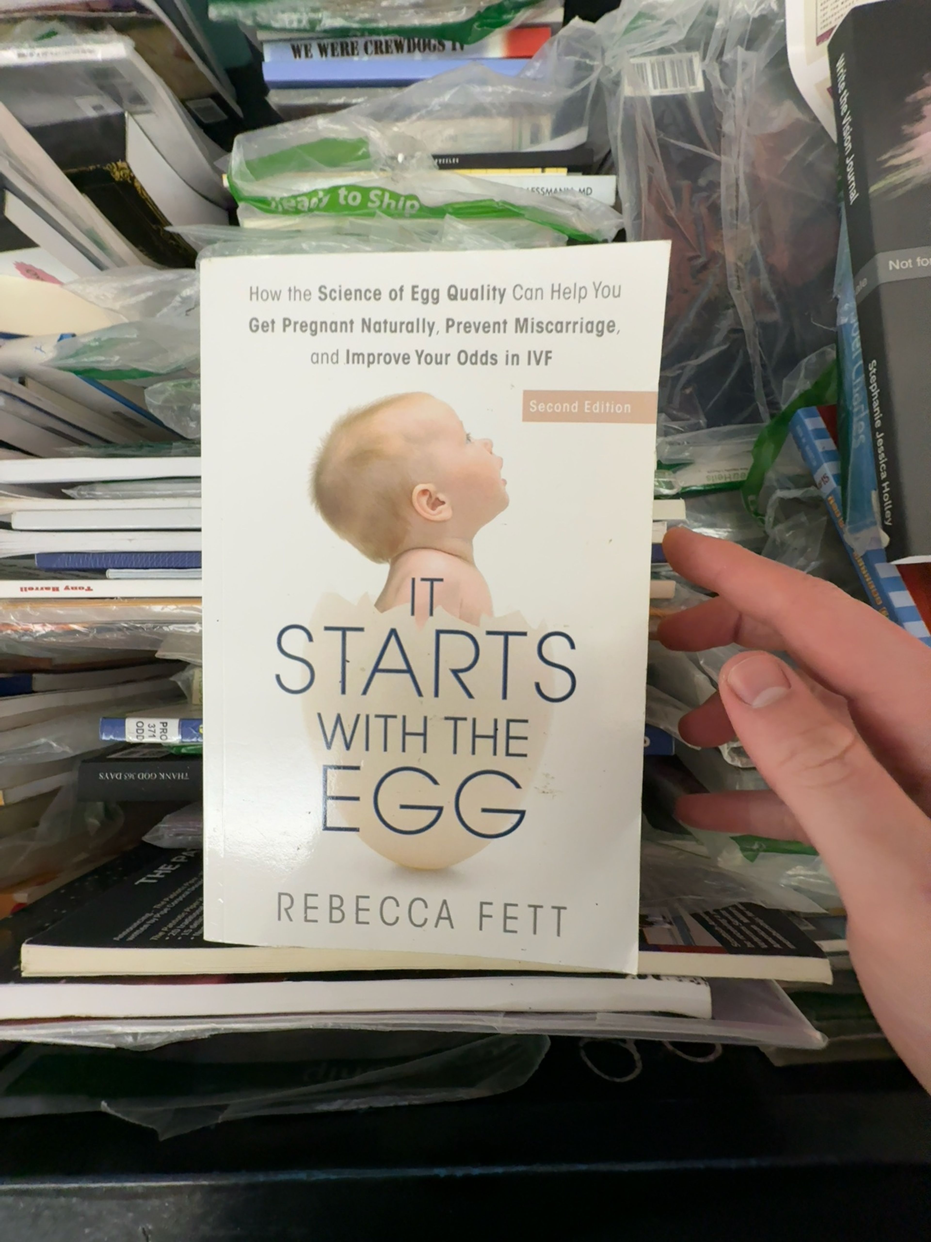 It Starts with the Egg by Rebecca Fett (Paperback)