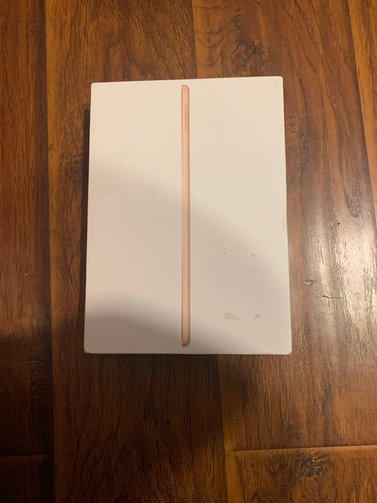 Apple iPad