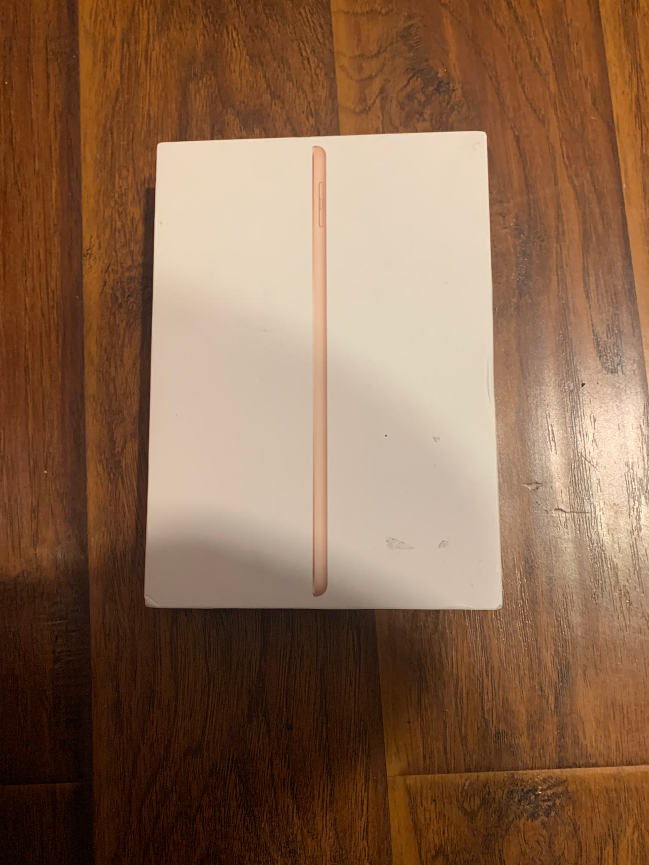 Apple iPad