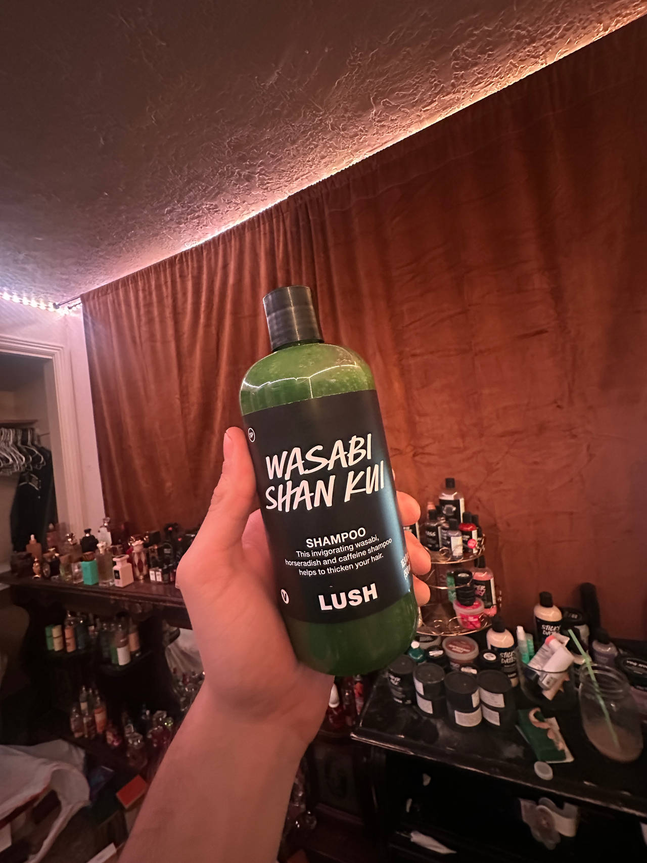 Lush Wasabi Shan Kui Shampoo huge bottle
