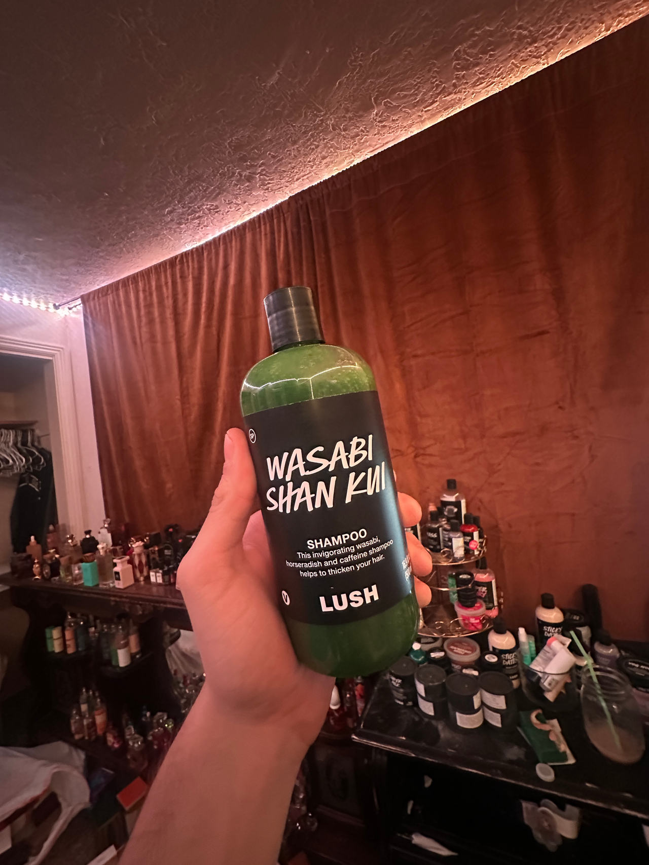 Lush Wasabi Shan Kui Shampoo huge bottle