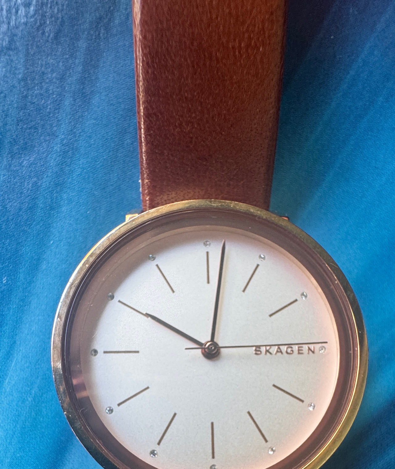 Skagen Anita Rose Gold-Tone Watch with Brown Leather Band