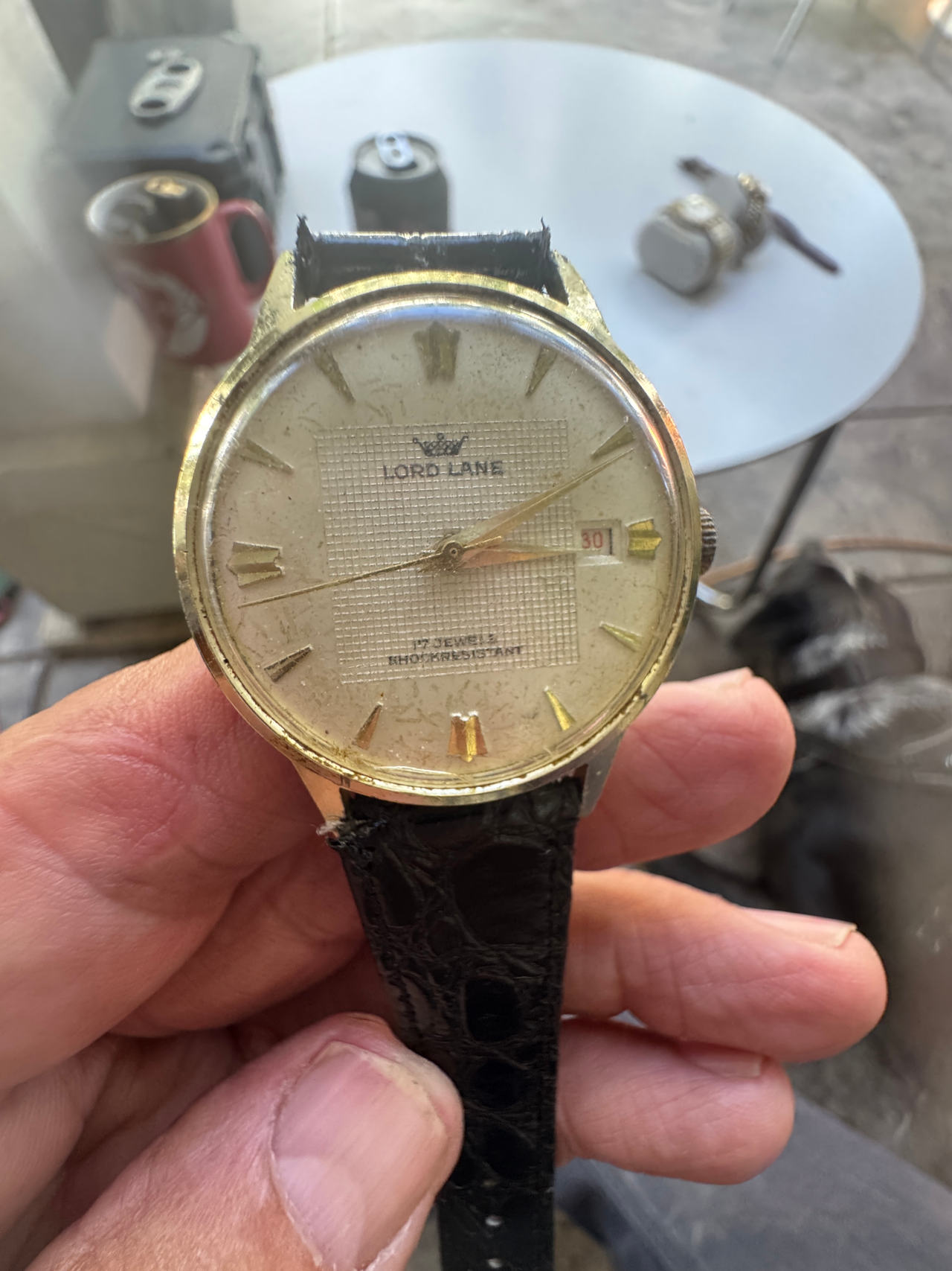 Lord Lane 17 Jewels Wristwatch