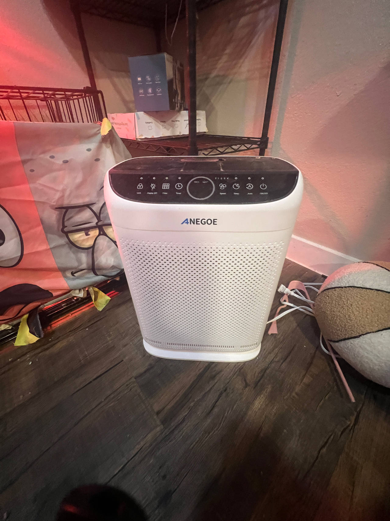 Anegeoe Air Purifier