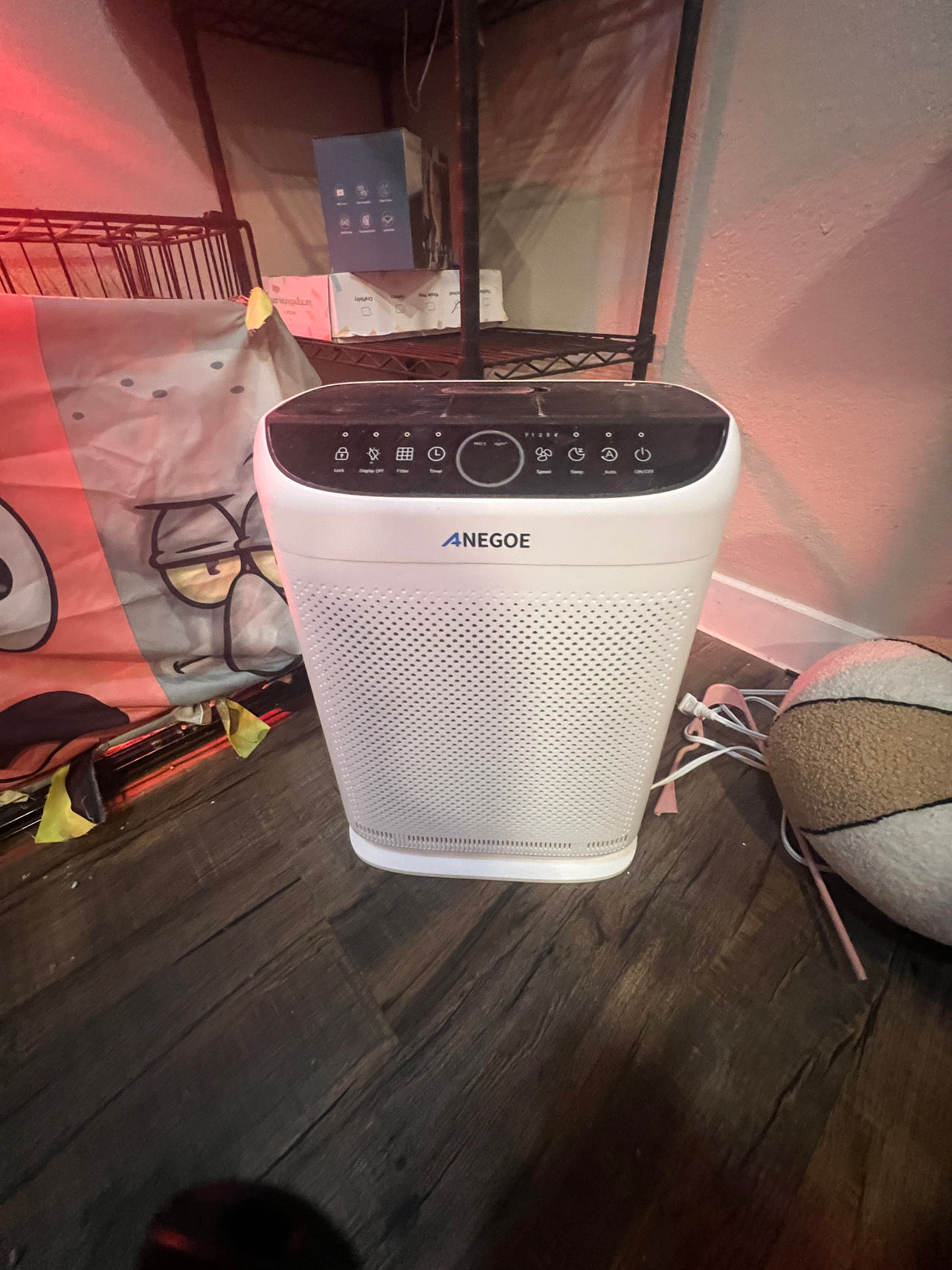 Anegeoe Air Purifier