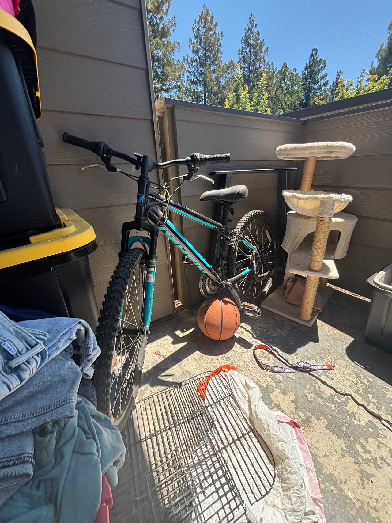 Mountain Bike