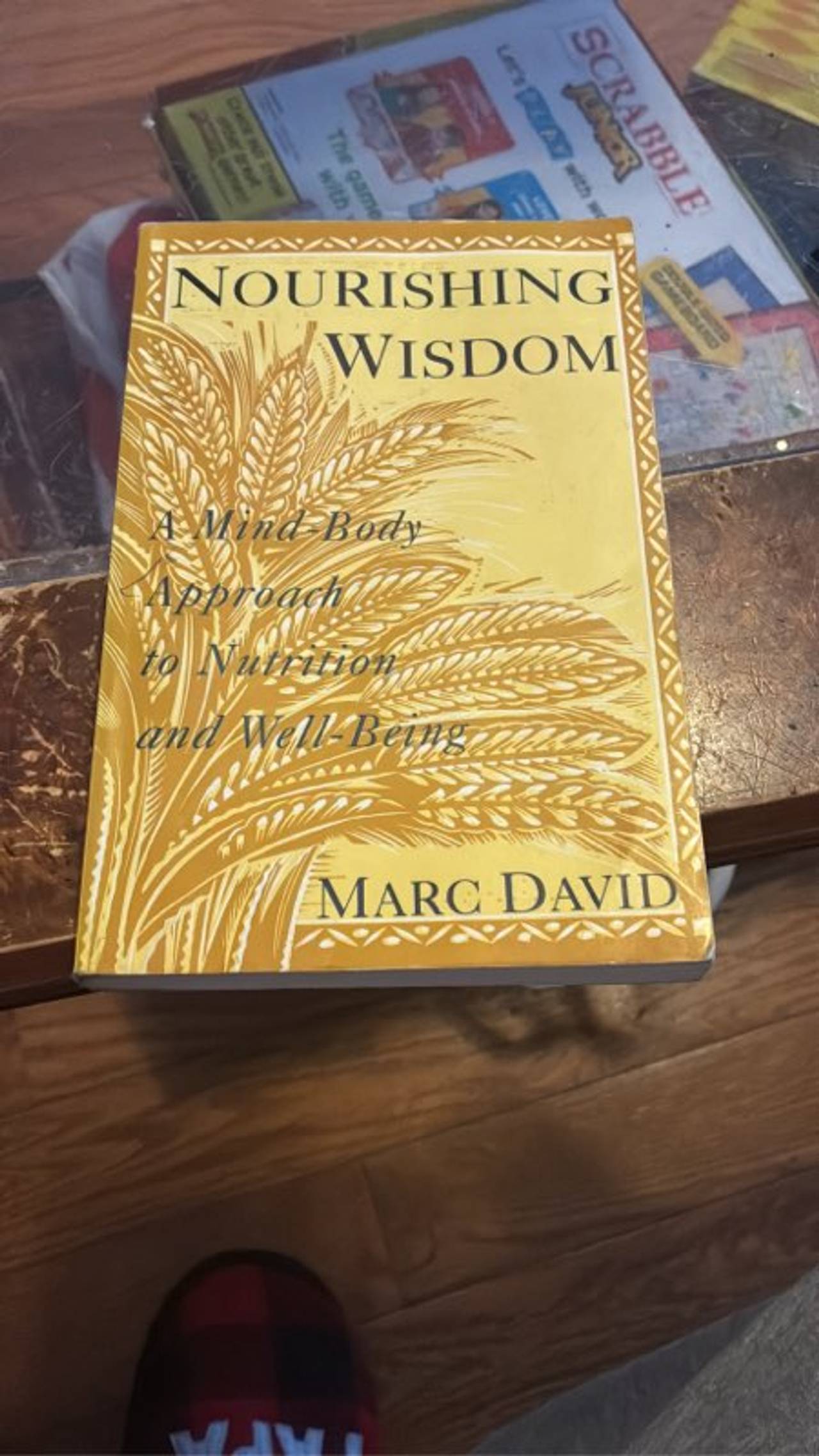 Nourishing Wisdom by Marc David