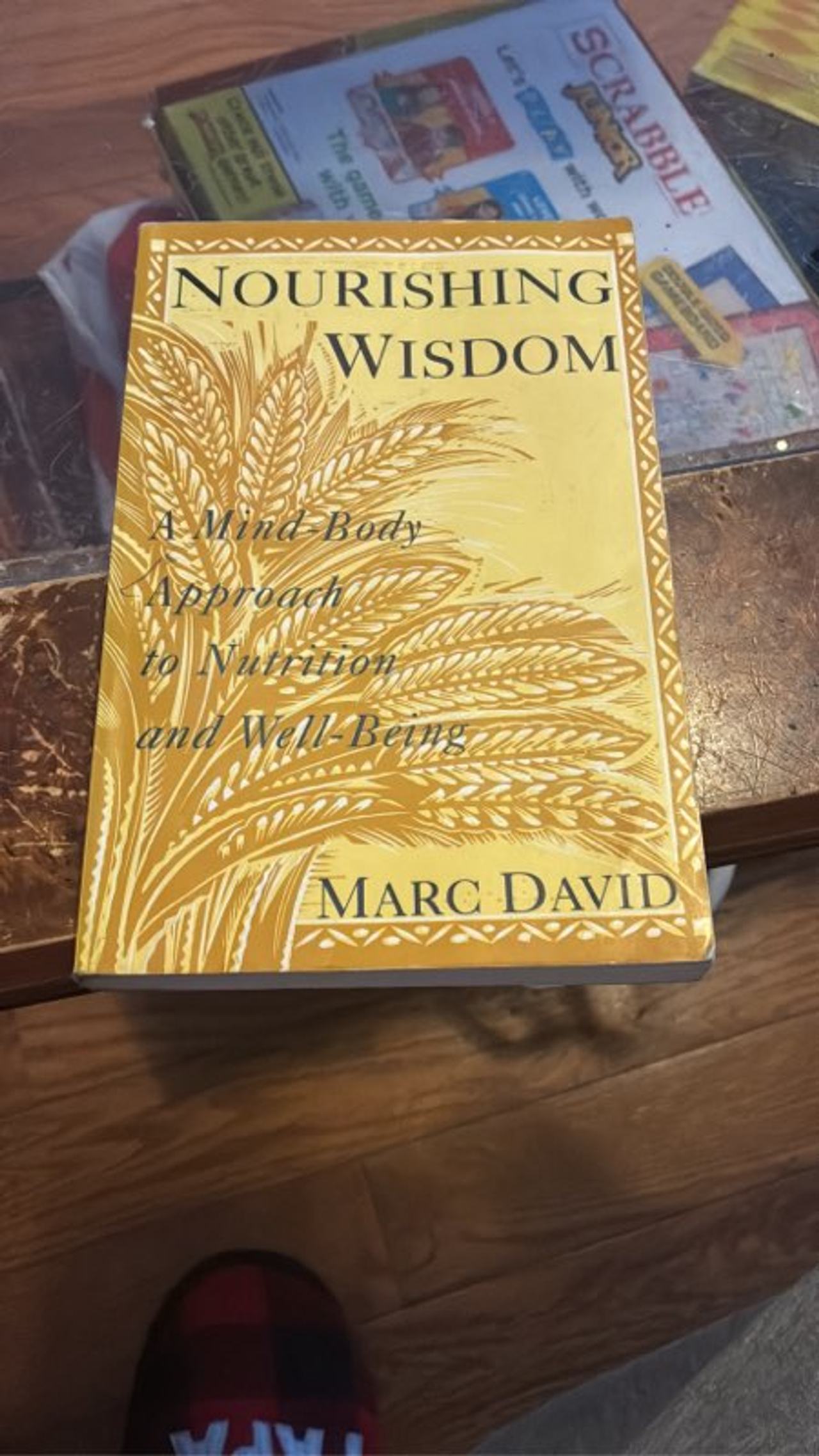 Nourishing Wisdom by Marc David