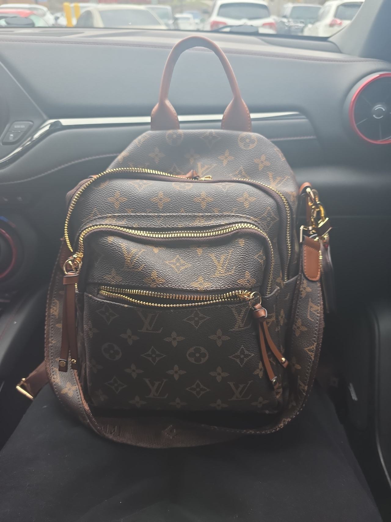 Louis Vuitton Palm Springs Backpack MM Monogram