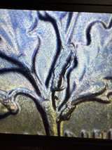 Roosevelt Dime 2025 p multiple error cud die chips all over  G6 - Image 5