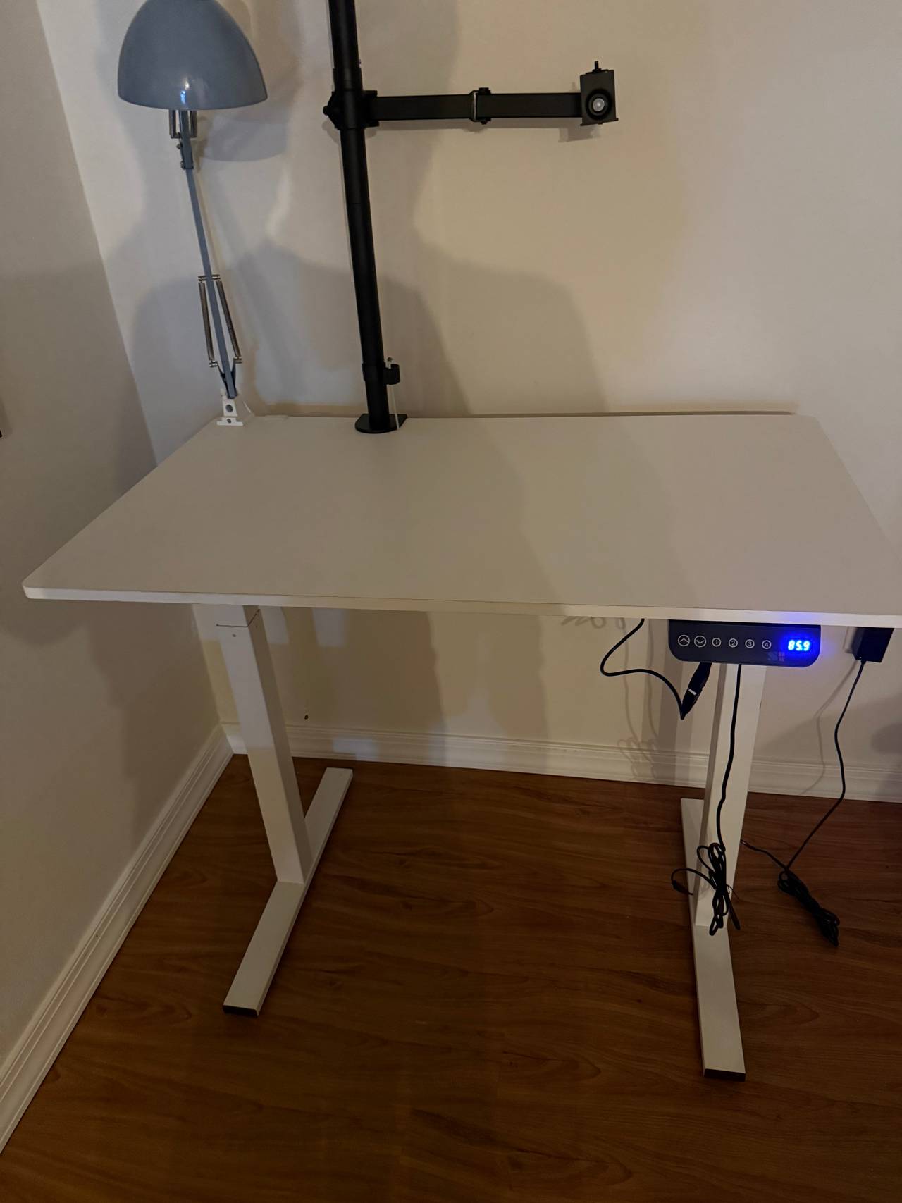 Flexispot EN1 Electric Standing Desk
