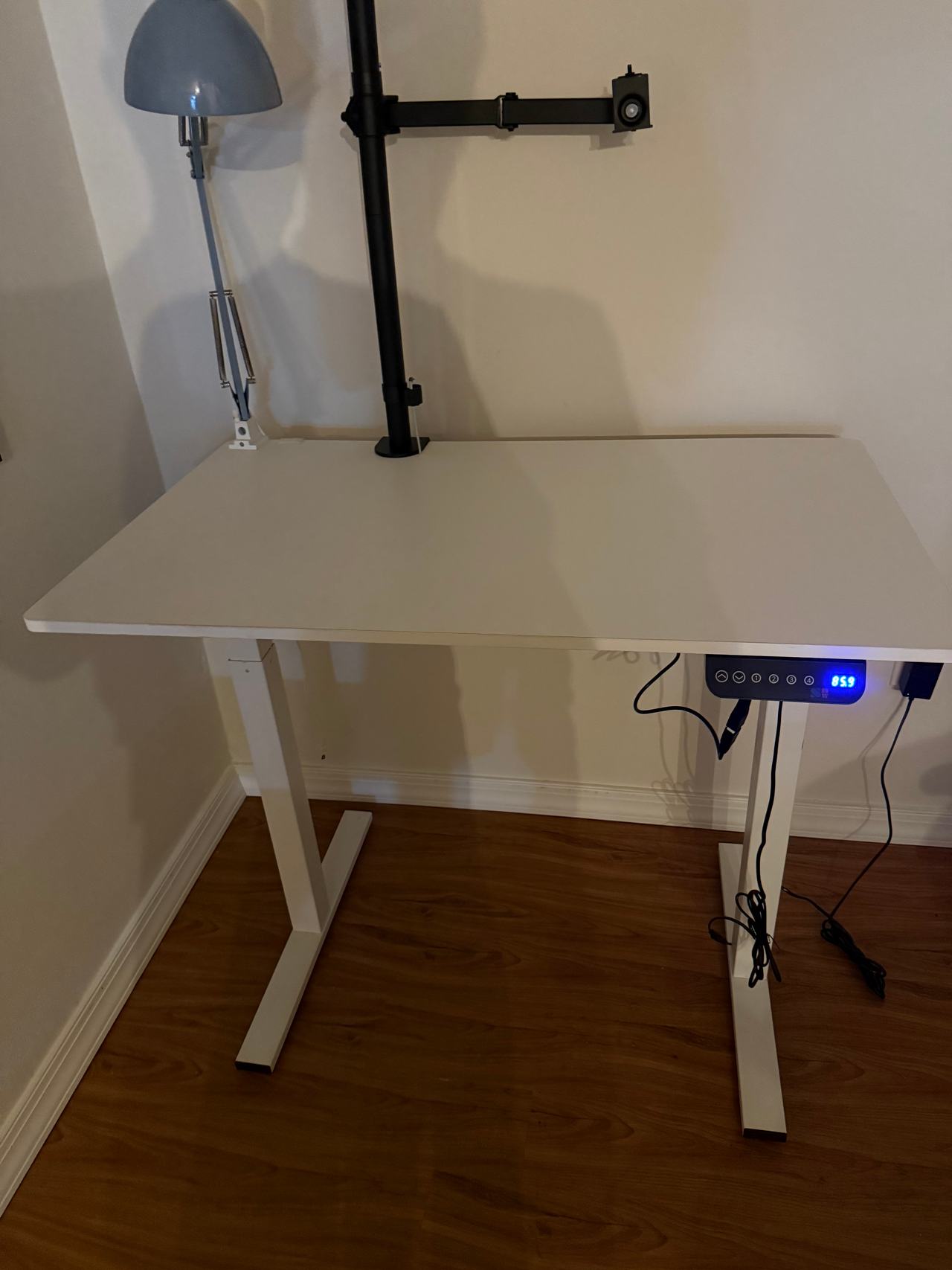 Flexispot EN1 Electric Standing Desk