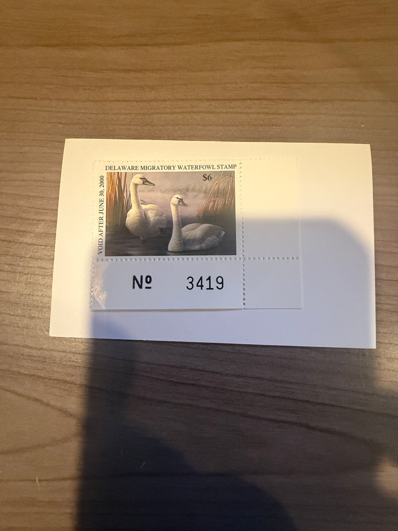 1999 Delaware Duck Stamp