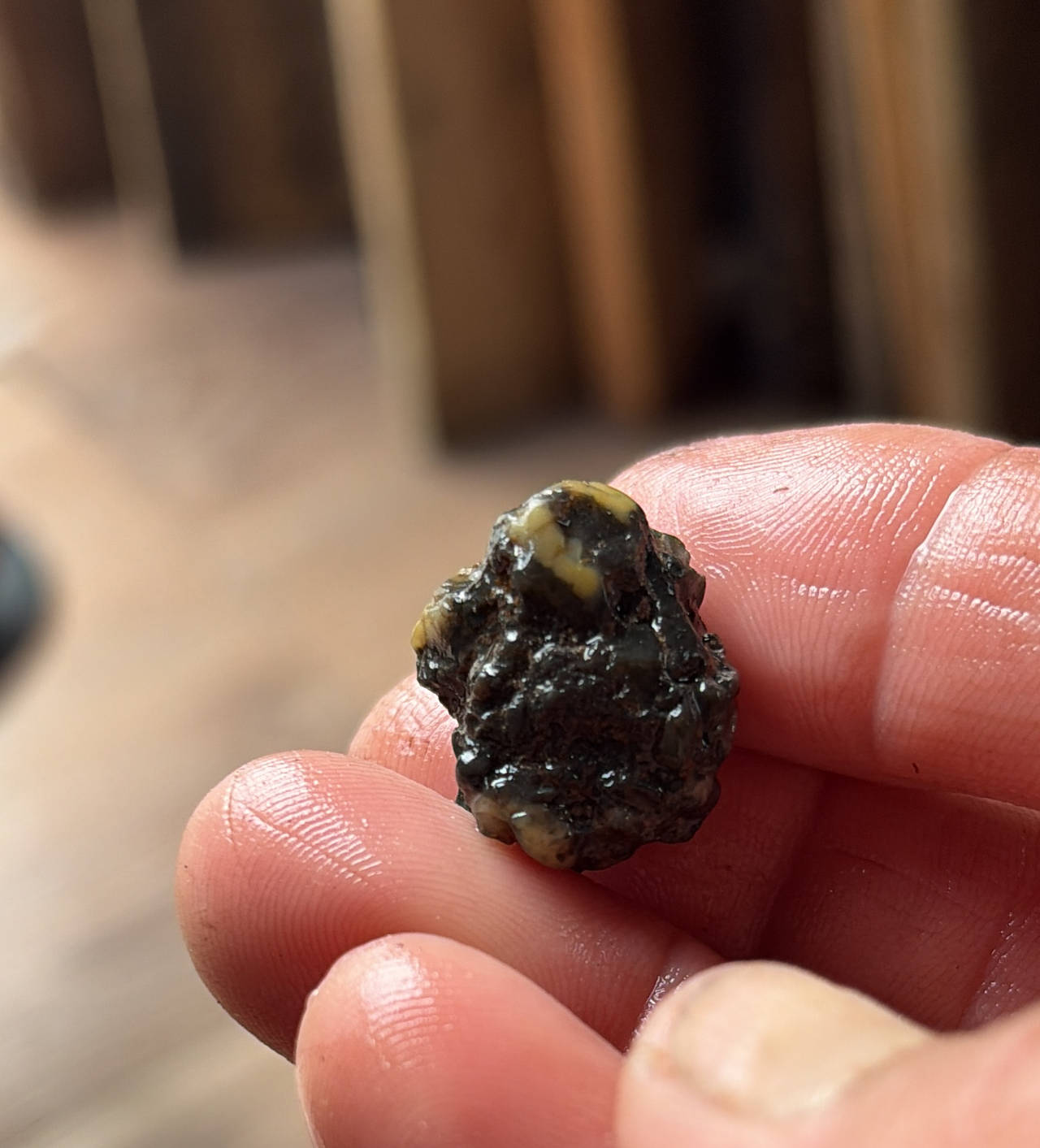 Raw Ambergris