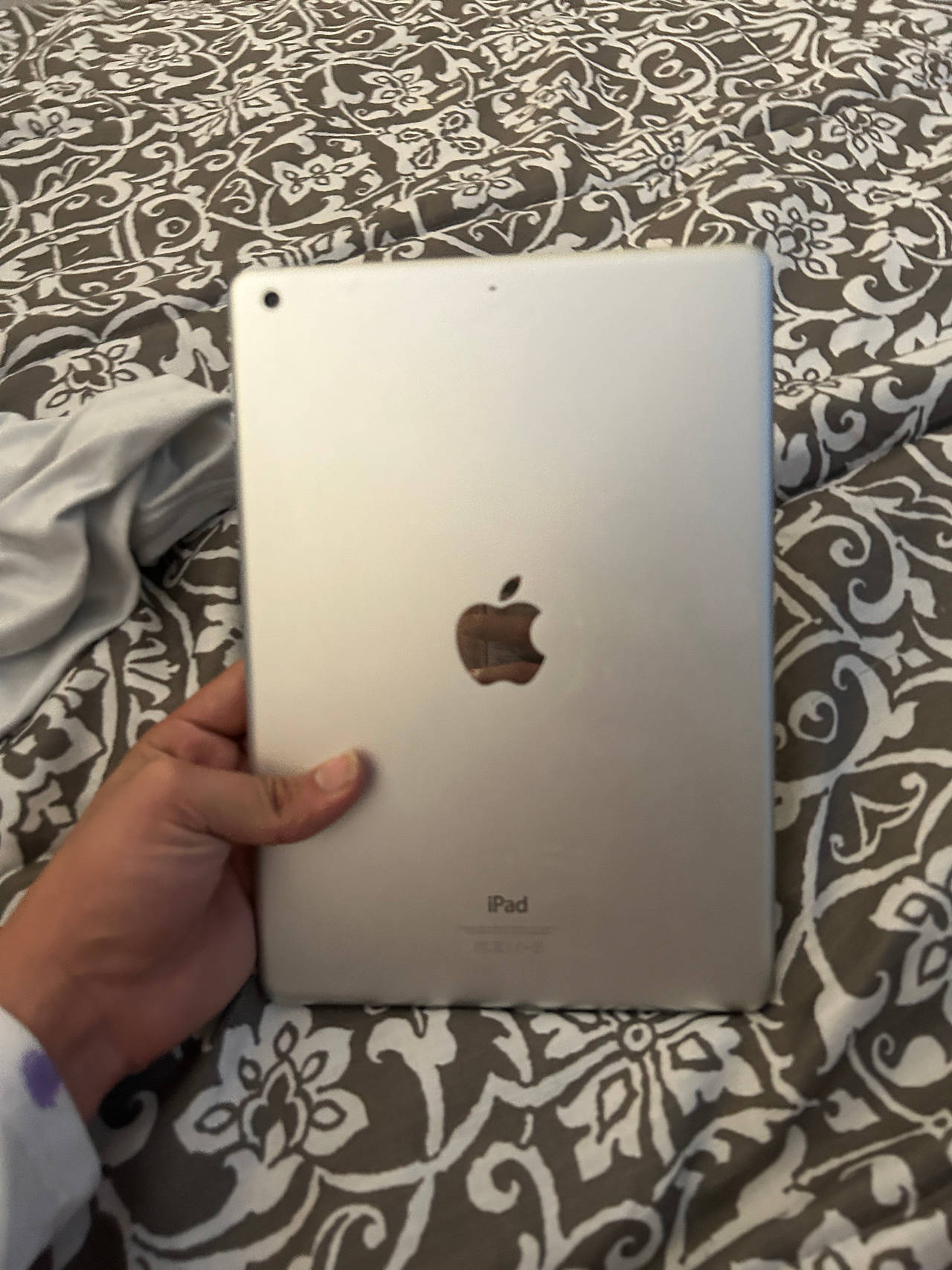 Apple iPad
