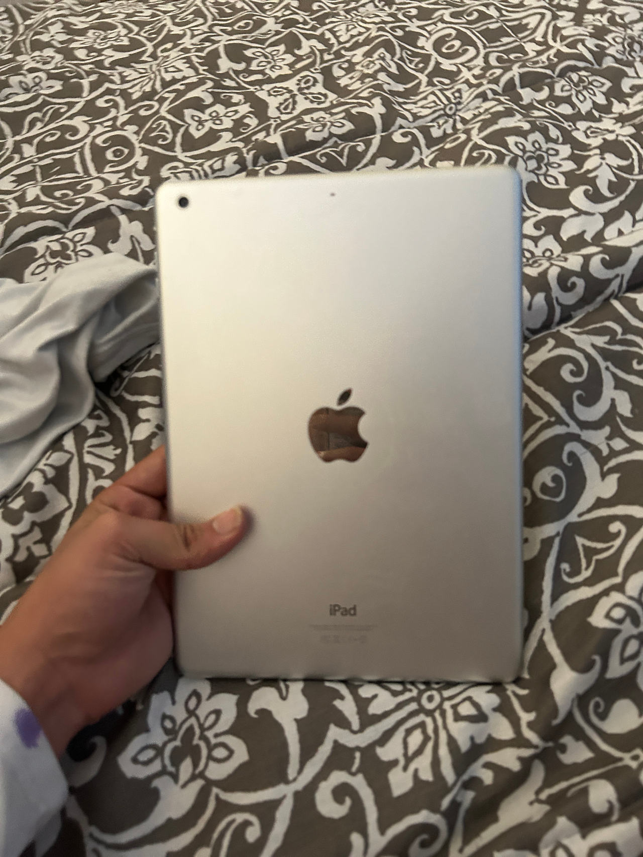 Apple iPad