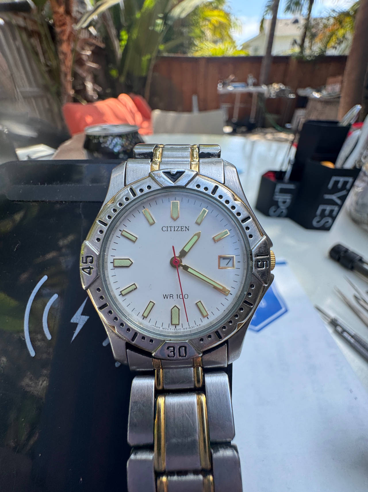 Citizen WR 100 Watch