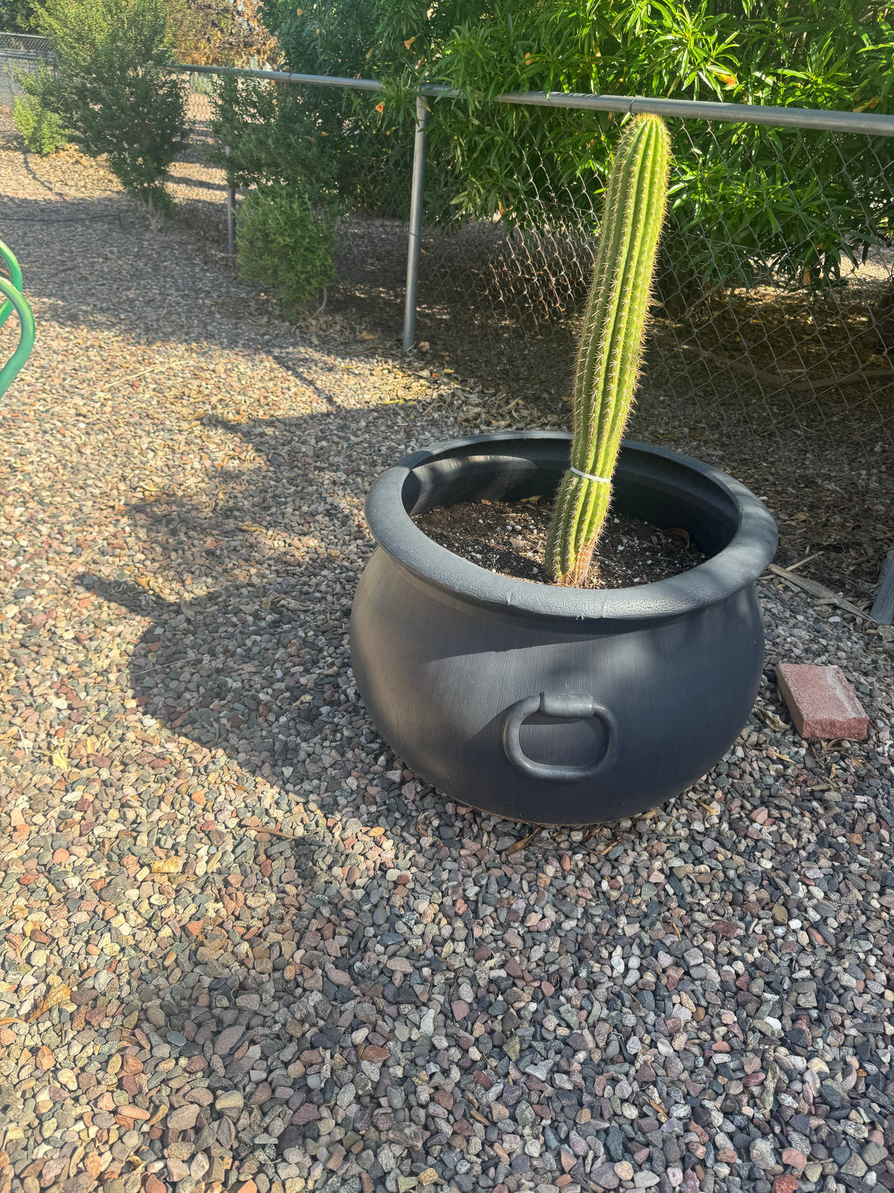Large Plastic Cauldron Planter