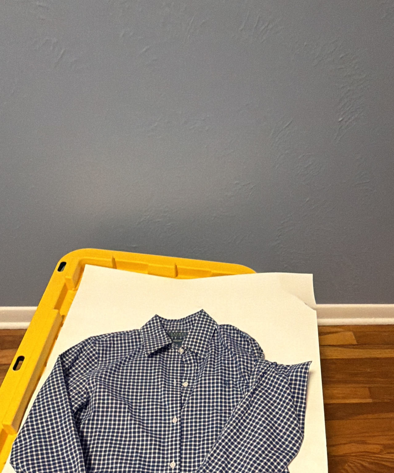 Polo Ralph Lauren Gingham Button Down Shirt