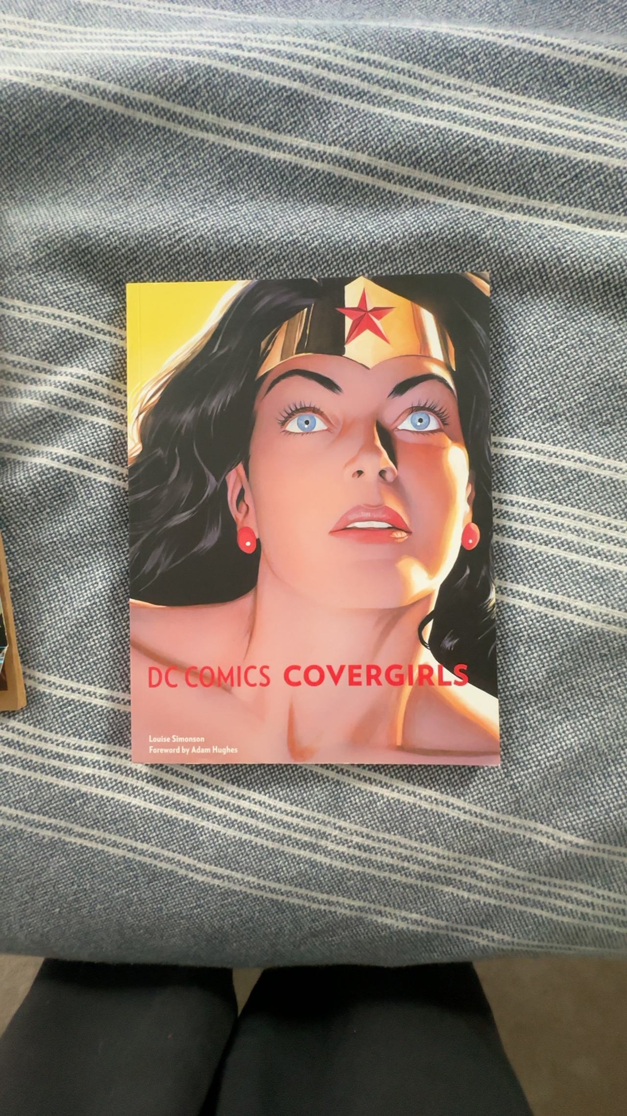 DC Comics Covergirls Paperback