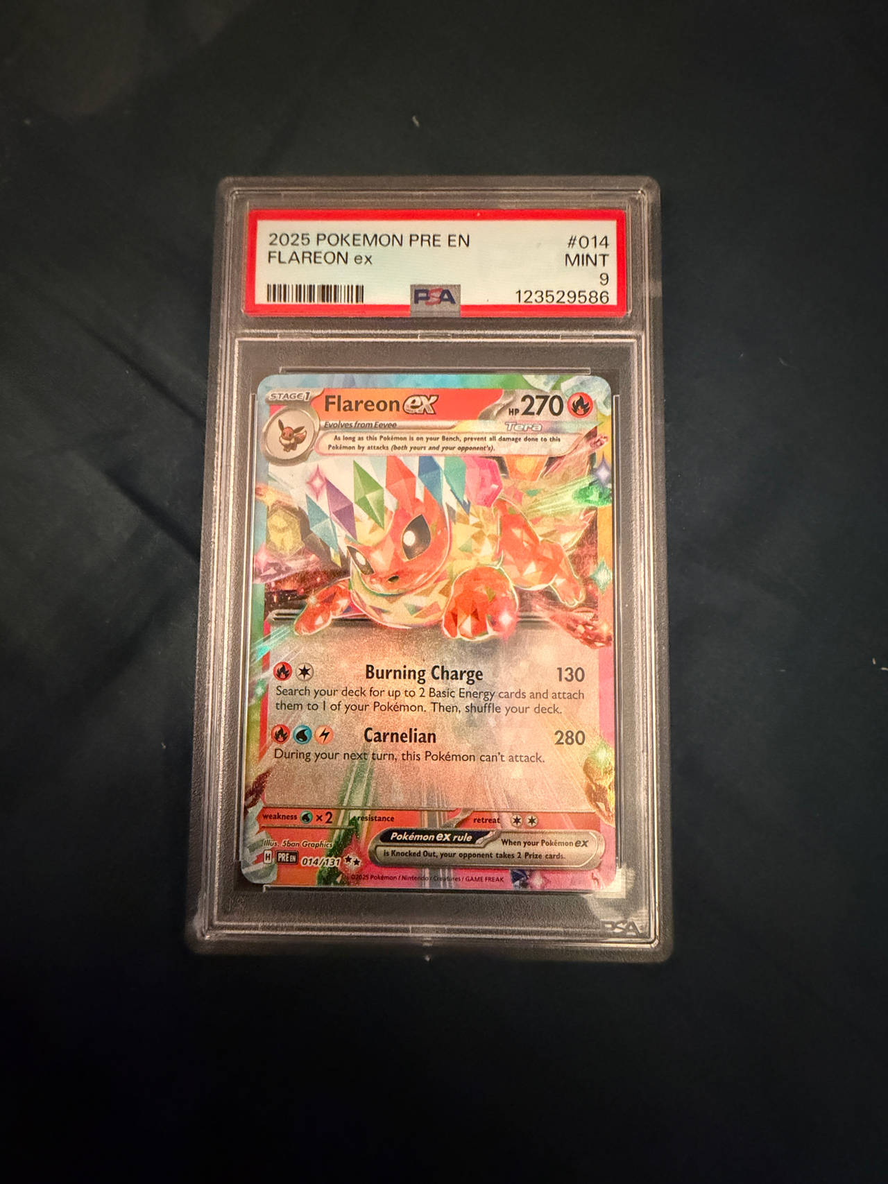 Flareon ex - 014/131 - Prerelease Promo PSA 9