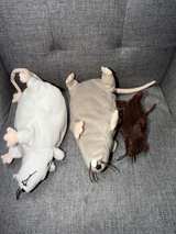 IKEA Gosig Råtta Plush Rats Mouse lot of 3 - Image 5