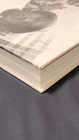 Supreme (Vol 2) by Phaidon Press - Image 3
