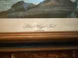 John J. Audubon Blue Winged Teal Framed Print - Image 3
