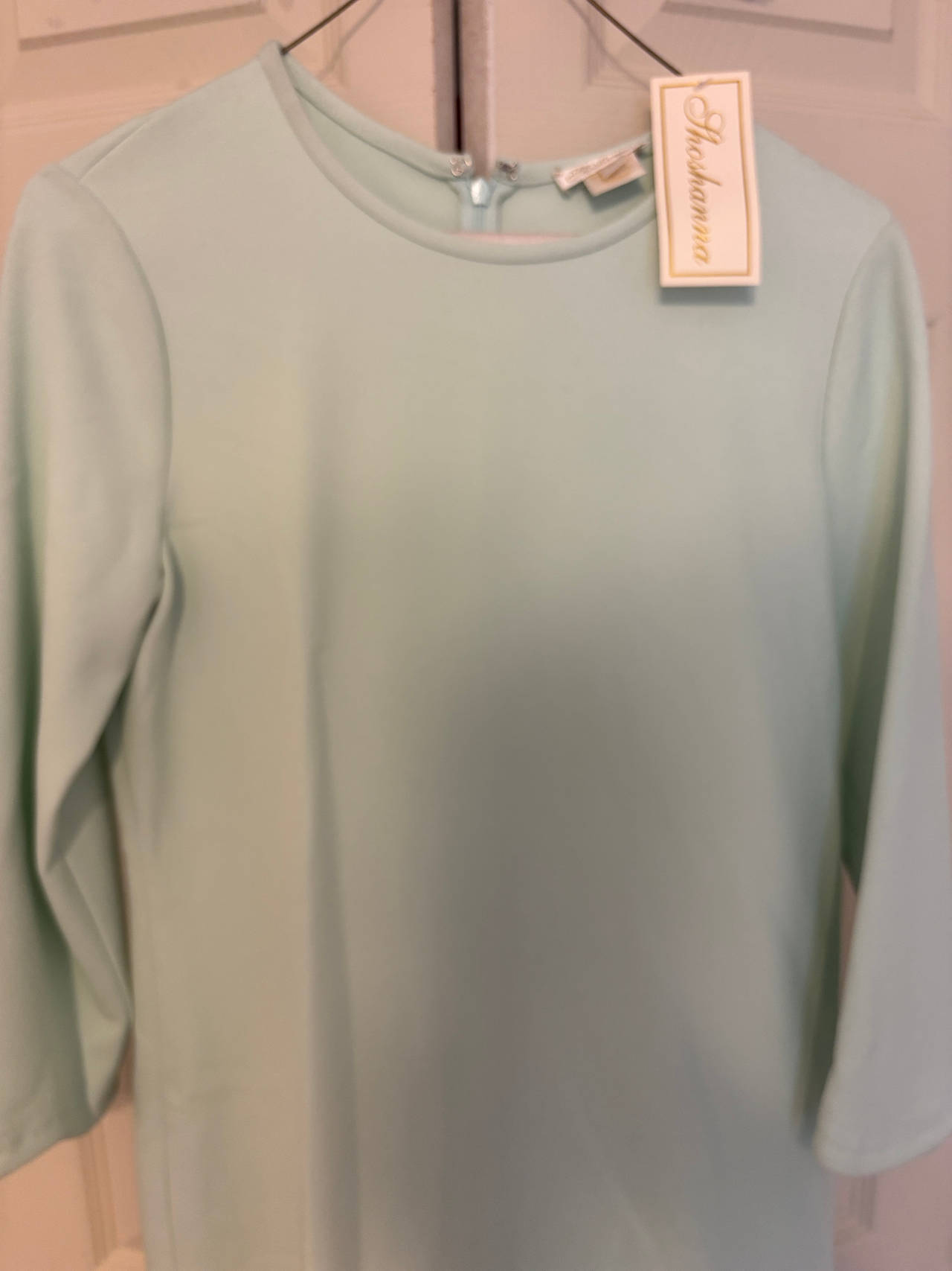 Shoshanna Mint Green 3/4 Sleeve Dress
