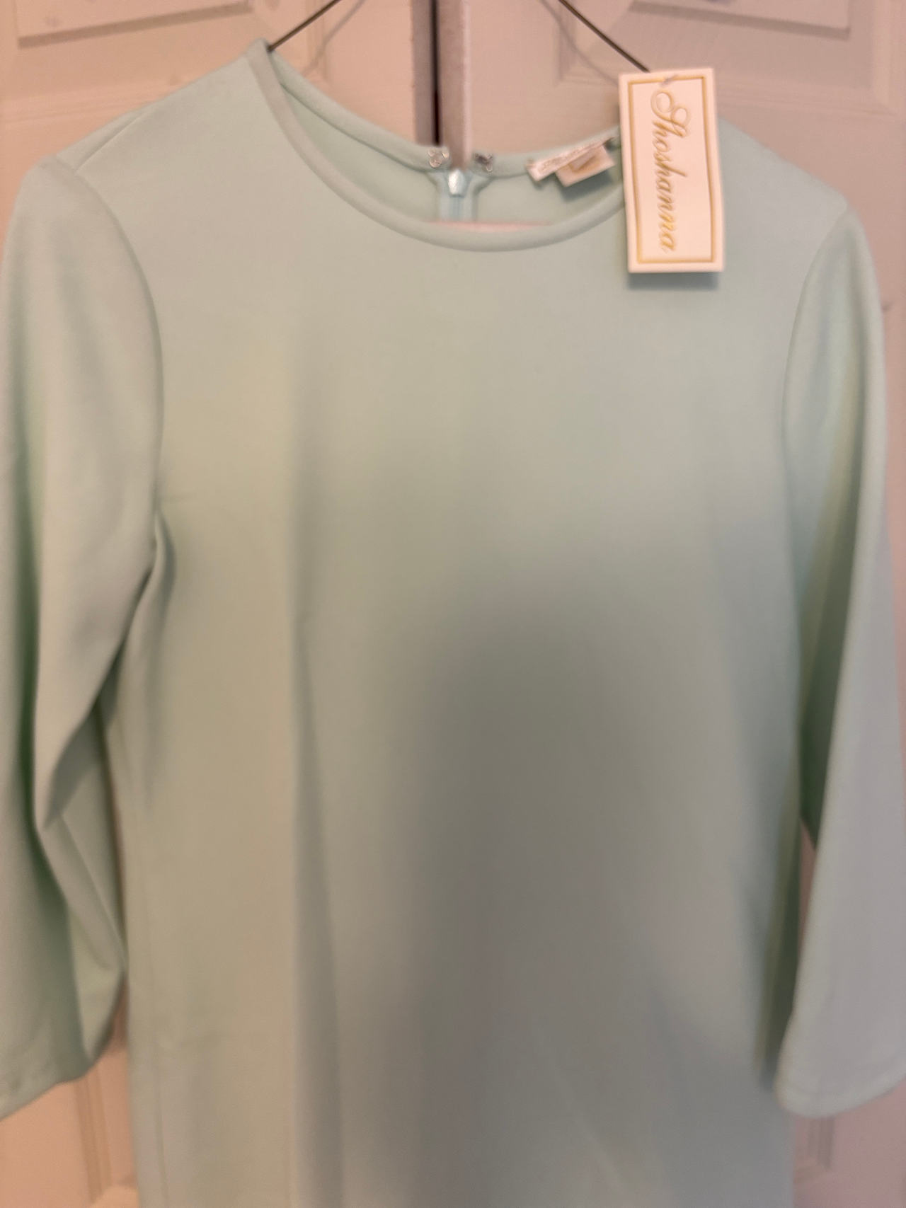 Shoshanna Mint Green 3/4 Sleeve Dress