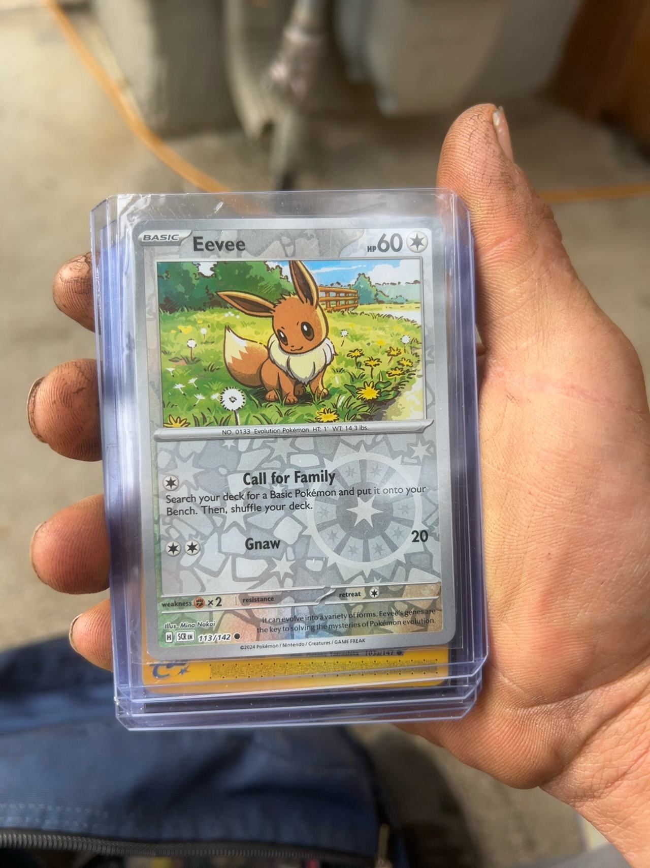 Pokemon Eevee Reverse Holo Stellar Crown Card