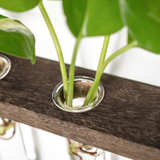 Mkono Plant Propagation Tubes, 3 Tiered Wall ( 5 Tubes Missing ) - Image 2
