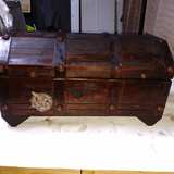 Vintage Style Wooden Treasure Chest Trunk with Wolf Emblem - Image 2