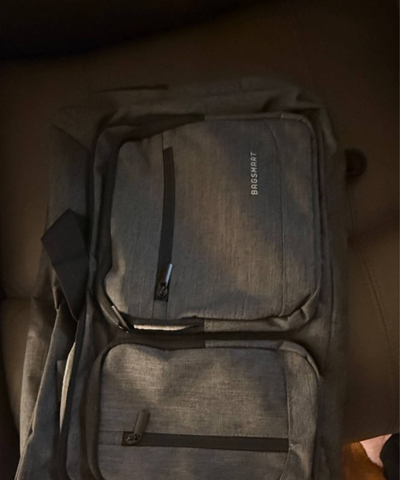 BAGSMART Laptop Backpack