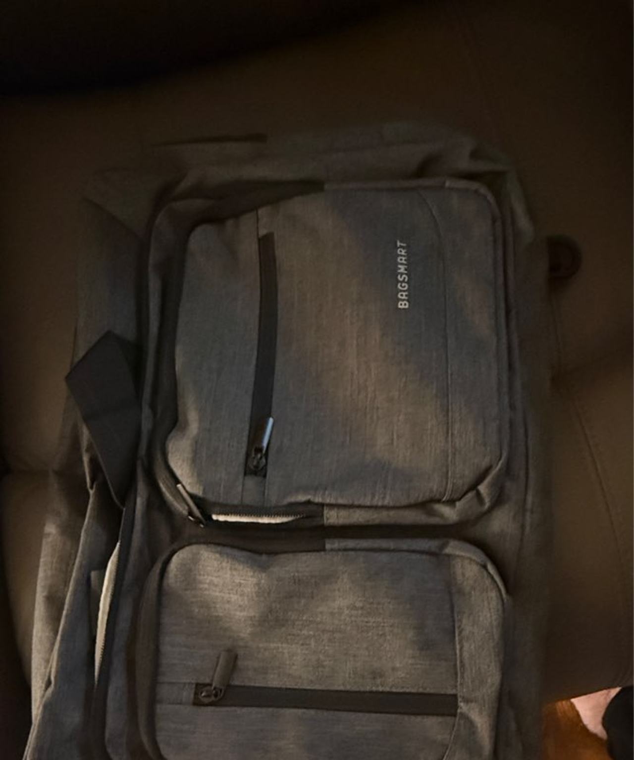 BAGSMART Laptop Backpack