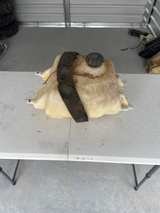 Polaris Sportsman Fuel Gas Tank - Image 2