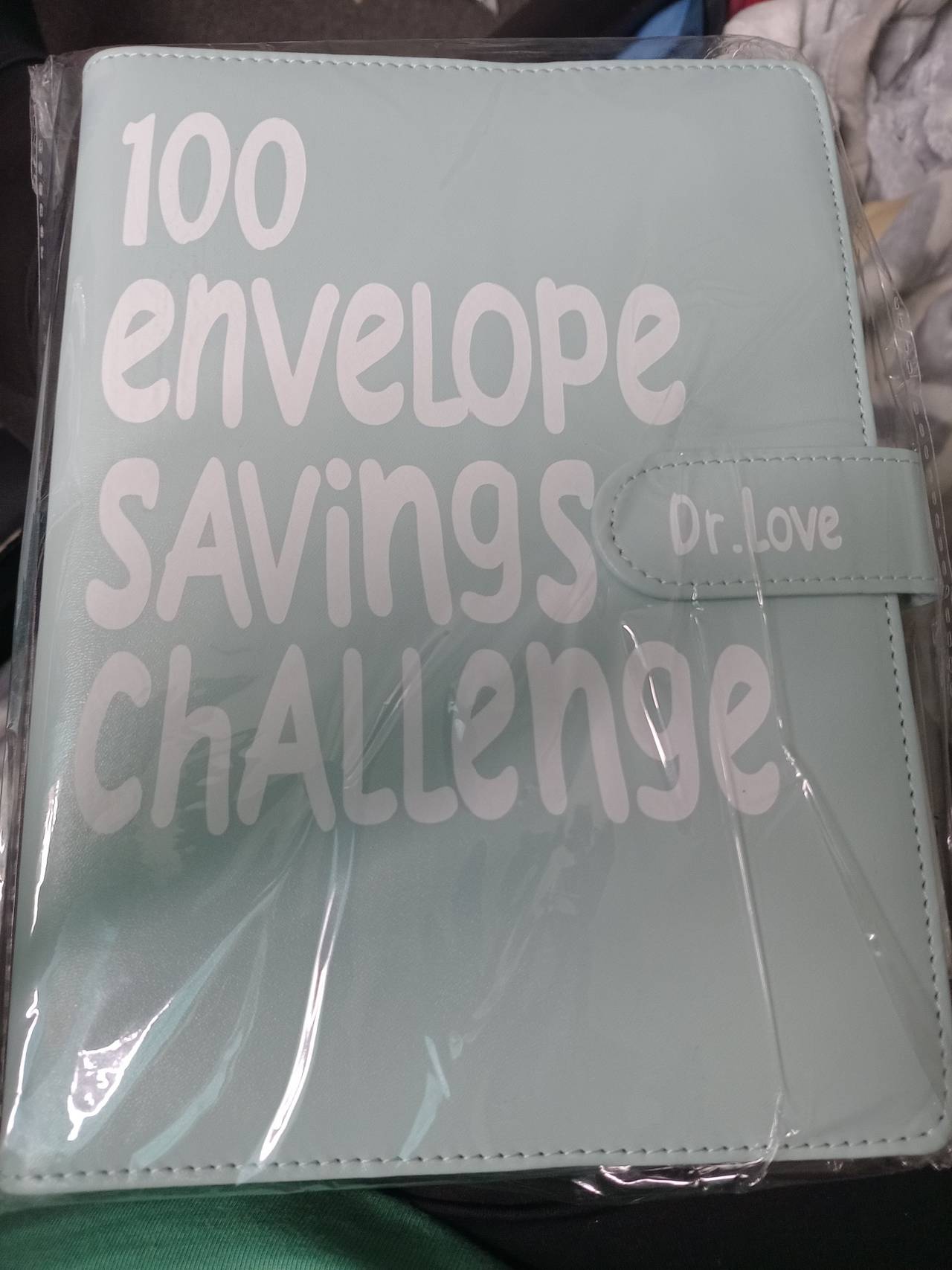 Dr. Love 100 Envelope Savings Challenge Binder
