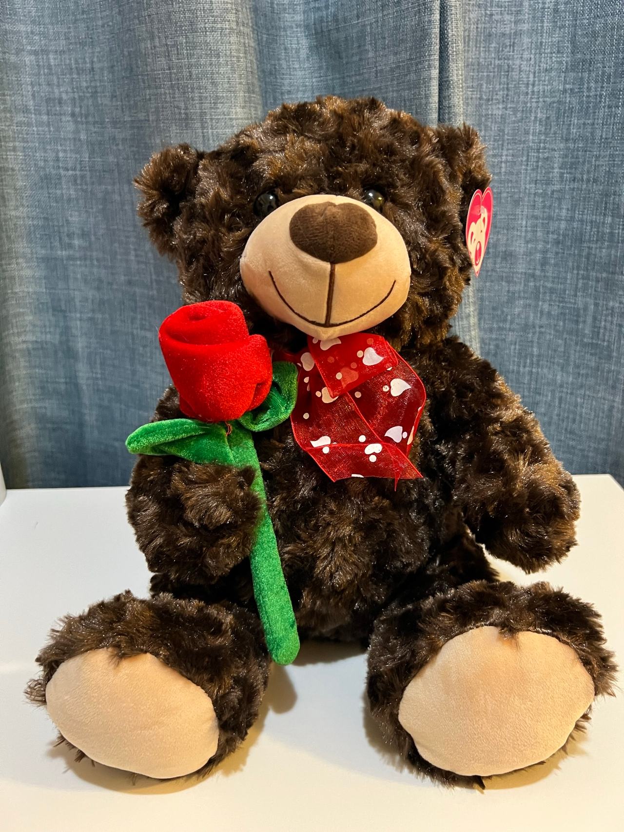Valentine's Day Teddy Bear Plush