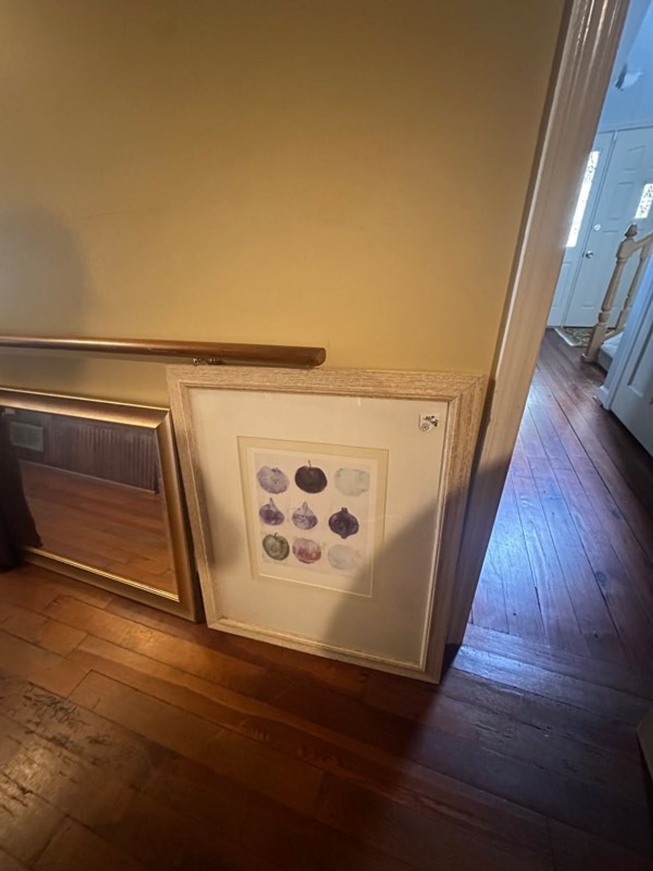 Framed Botanical Art Print